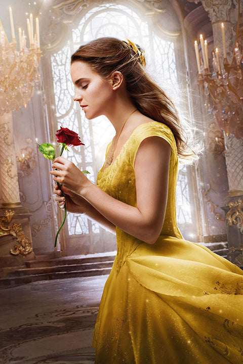 Poster Bela E A Fera - Beauty And The Beast - Filmes