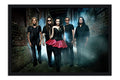 Poster Evanescence - Amy Lee - Bandas de Rock
