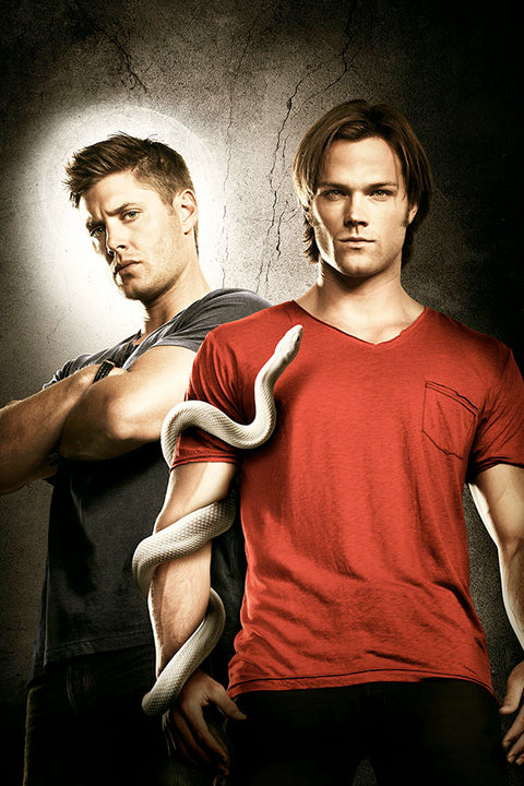 Poster Supernatural - Sobrenatural 6ª Temporada - Séries
