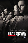 Poster Greys Anatomy - Séries
