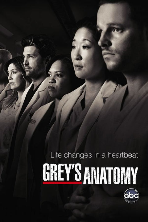 Poster Greys Anatomy - Séries