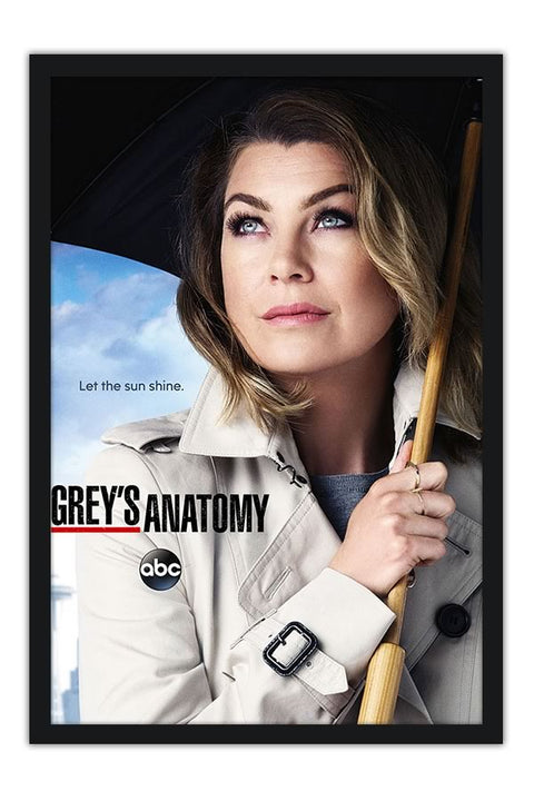 Poster Greys Anatomy - Séries