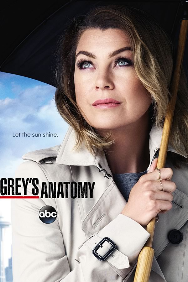 Poster Greys Anatomy - Séries