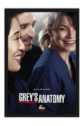 Poster Greys Anatomy - Séries