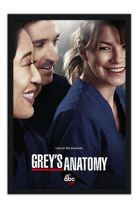 Poster Greys Anatomy - Séries