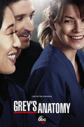 Poster Greys Anatomy - Séries