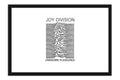 Poster Joy Division - Unknown Pleasures - Bandas de Rock