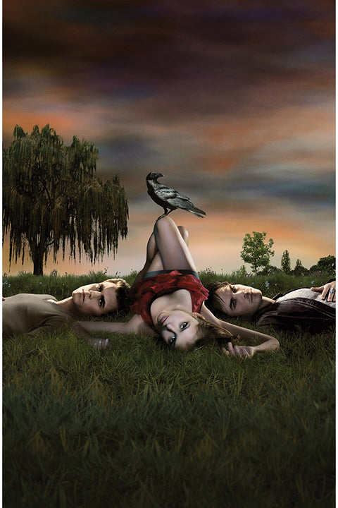 Poster Vampire Diaries 1ª Temporada - Séries