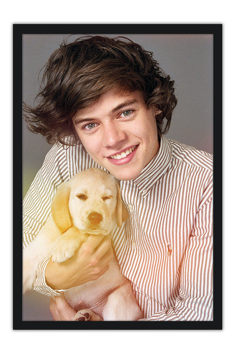 Poster One Direction - Harry Styles - 1D - Pop