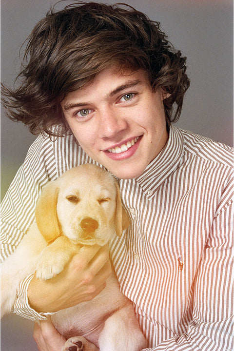 Poster One Direction - Harry Styles - 1D - Pop