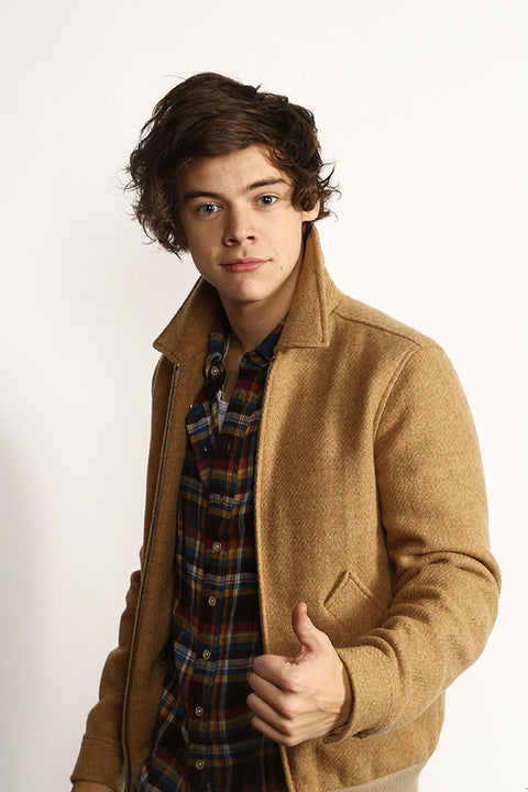 Poster One Direction - Harry Styles - 1D - Pop