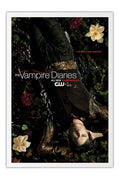 Poster Vampire Diaries 2ª Temporada - Séries