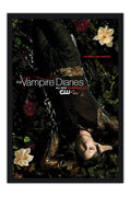 Poster Vampire Diaries 2ª Temporada - Séries