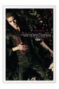 Poster Vampire Diaries 2ª Temporada - Séries