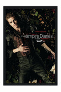 Poster Vampire Diaries 2ª Temporada - Séries