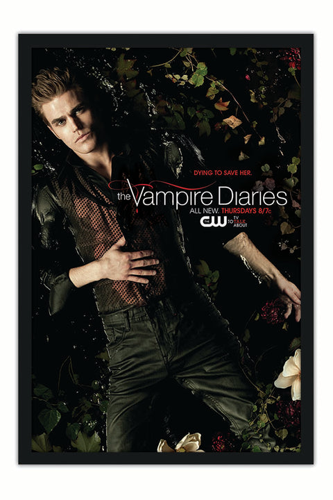 Poster Vampire Diaries 2ª Temporada - Séries