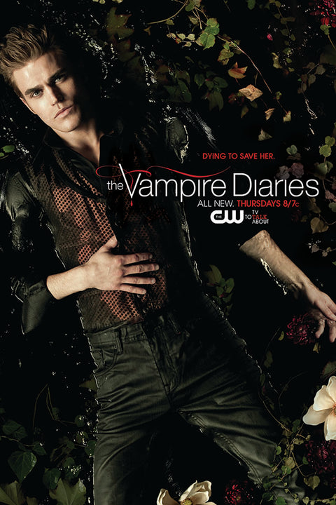 Poster Vampire Diaries 2ª Temporada - Séries
