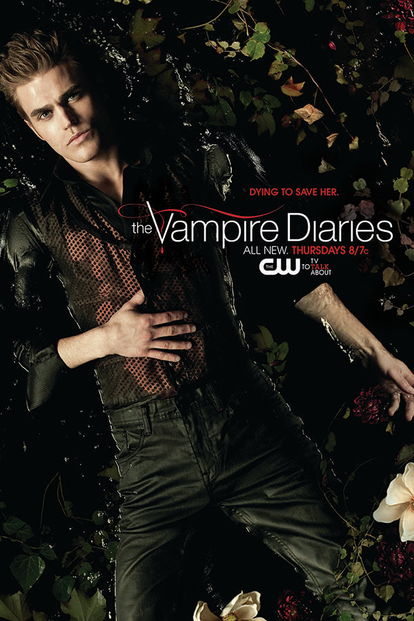Poster Vampire Diaries 2ª Temporada - Séries