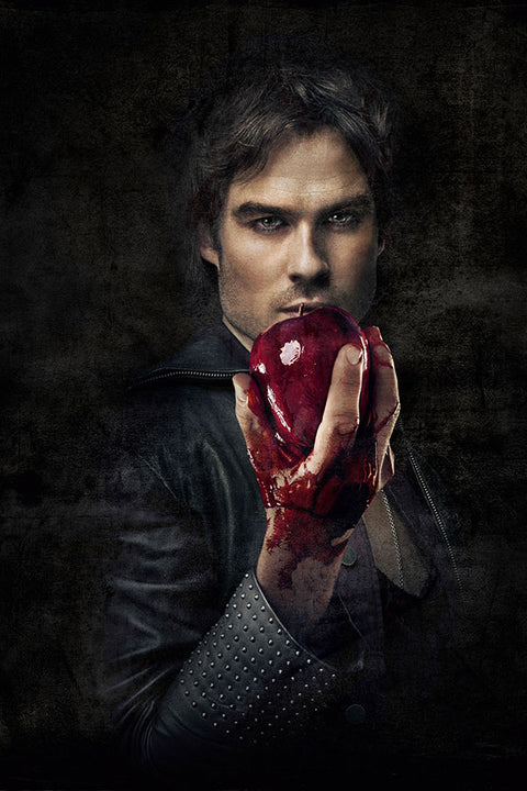 Poster Vampire Diaries 3ª Temporada - Séries