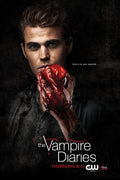 Poster Vampire Diaries 3ª Temporada - Séries