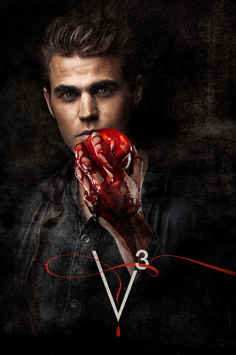 Poster Vampire Diaries 3ª Temporada - Séries