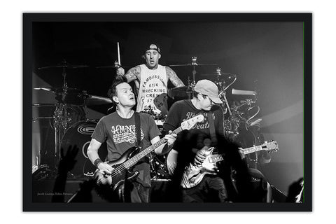 Poster Blink 182 - Bandas de Rock