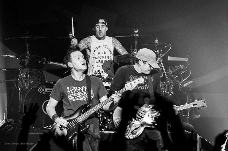 Poster Blink 182 - Bandas de Rock