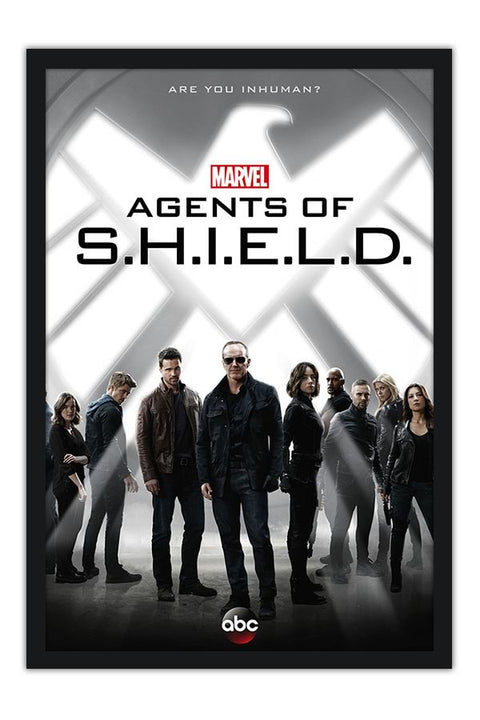 Poster Marvel's Agents Of Shield - Séries