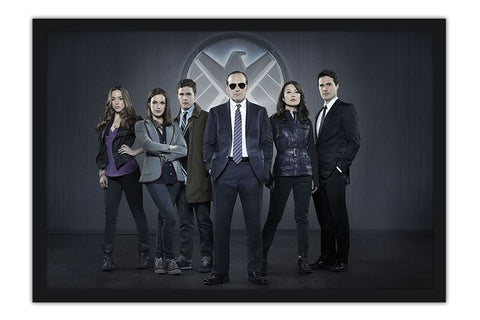 Poster Marvel's Agents Of Shield - Séries