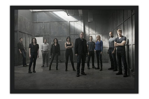 Poster Marvel's Agents Of Shield - Séries