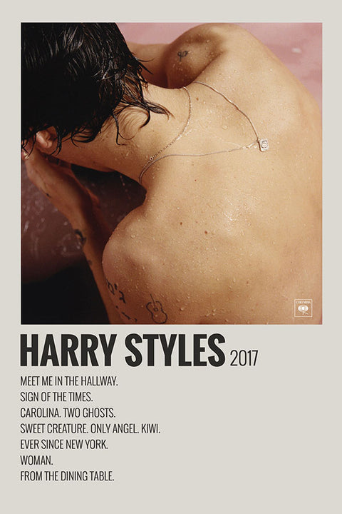 Poster Harry Styles - Artistas Pop