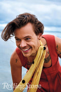 Poster Harry Styles - Artistas Pop