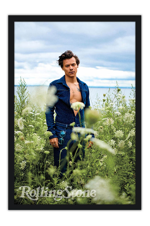Poster Harry Styles - Artistas Pop