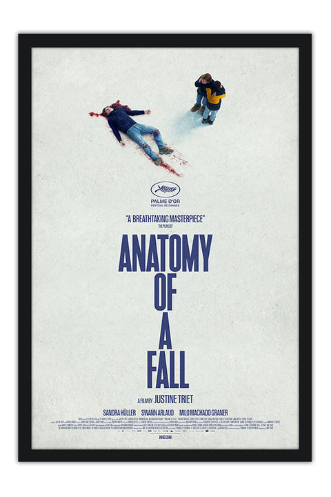 Poster Anatomia de Uma Queda - Filmes