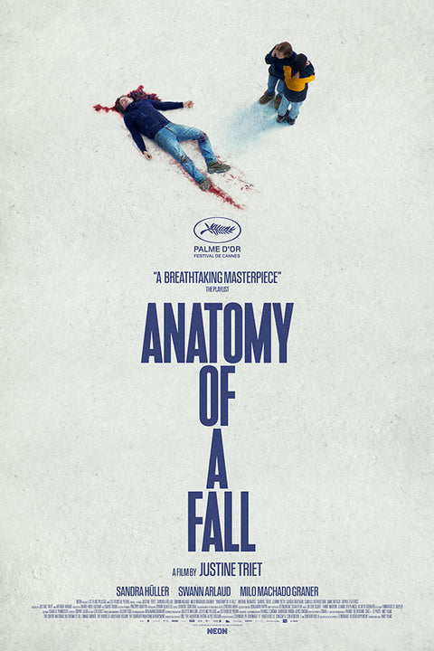 Poster Anatomia de Uma Queda - Filmes