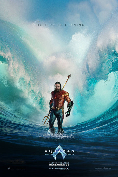 Poster Aquaman 2: O Reino Perdido - Jason Momoa - DC Comics - Filme