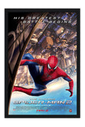 Poster O Espetacular Homem Aranha - The Amazing Spider Man - Filmes