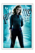 Poster Harry Potter 6 e O Enigma do Principe - Filmes