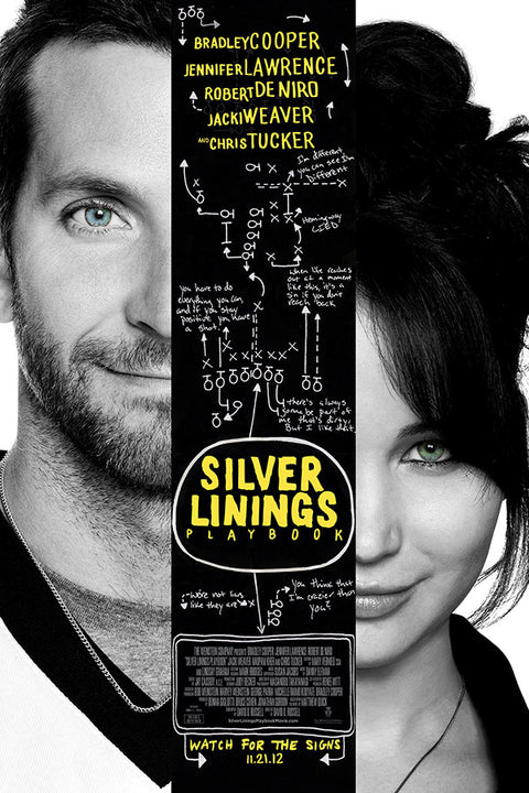 Poster O Lado Bom da Vida - Silver Linings - Filmes