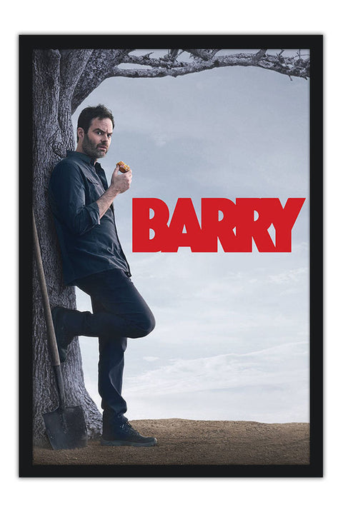 Poster Barry - Séries