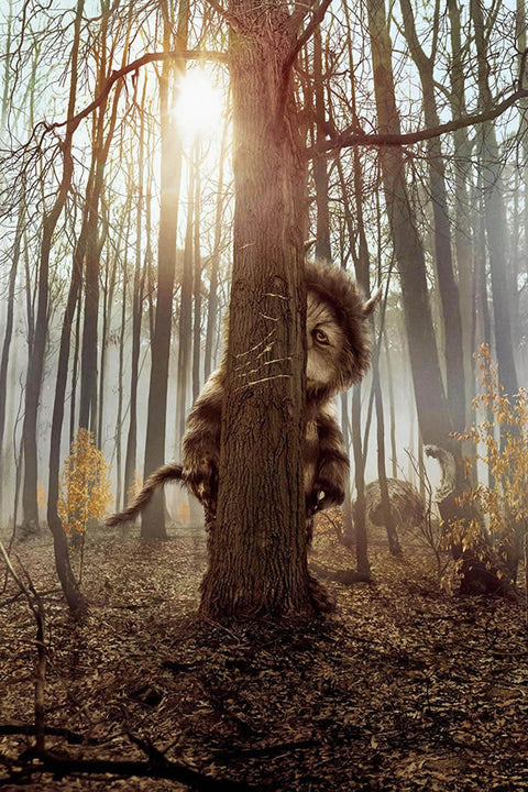 Poster Onde Vivem Os Monstros - Filmes