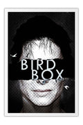 Poster Bird Box - Filmes