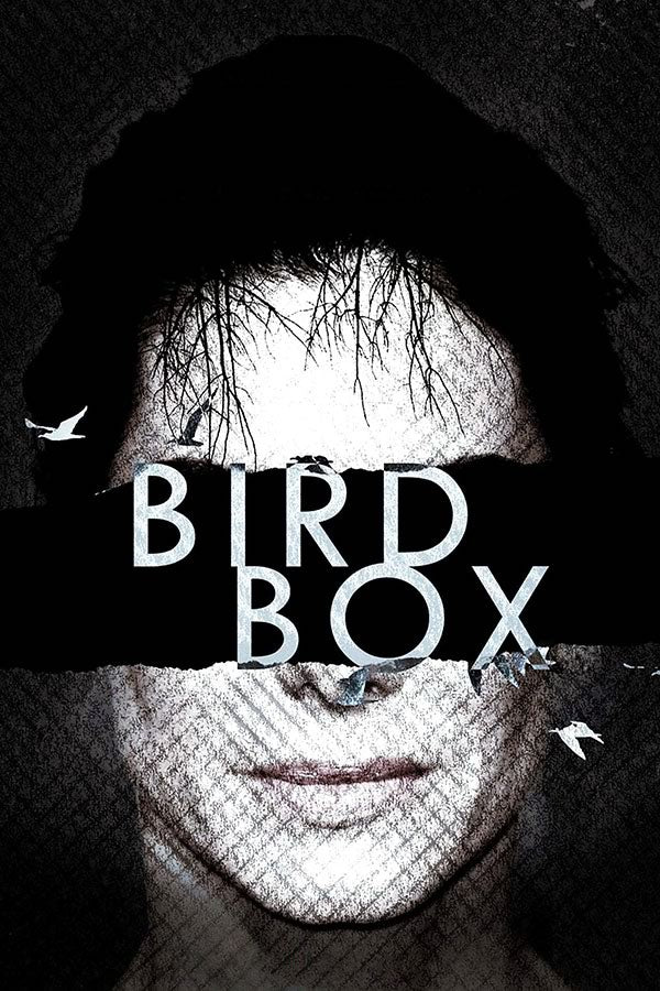 Poster Bird Box - Filmes