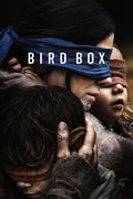 Poster Bird Box - Filmes