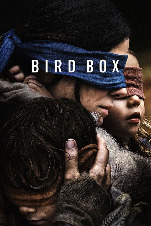 Poster Bird Box - Filmes