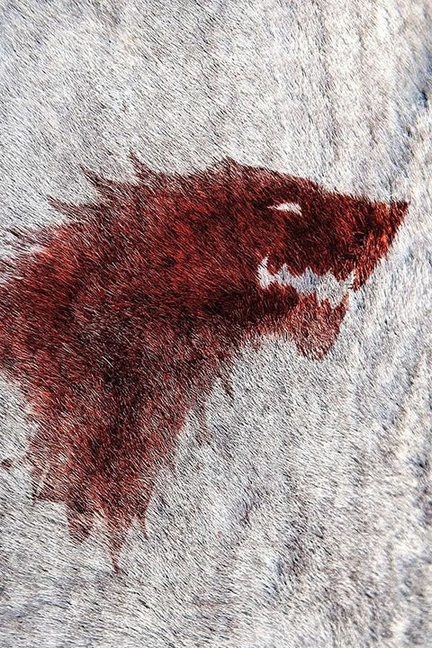 Poster Game Of Thrones - GOT - Séries