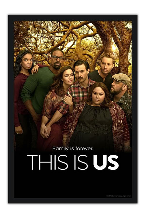 Poster This Is Us - Séries