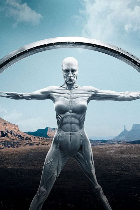 Poster Westworld - Séries