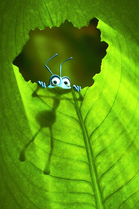Poster Vida de Inseto - Filmes - Infantil