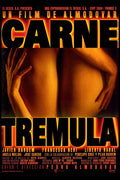 Poster Carne Trêmula - Almodovar - Filmes
